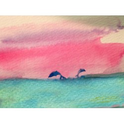 Dolphins at Play Dolphins at Play